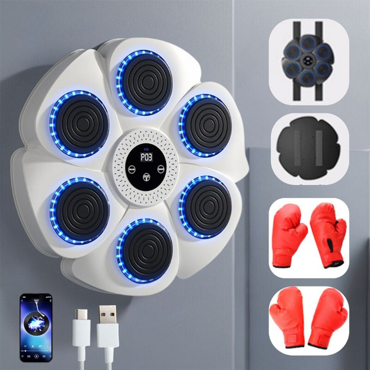 BoxMaster - Entrenador de Boxeo Inteligente Para Niños y Adultos