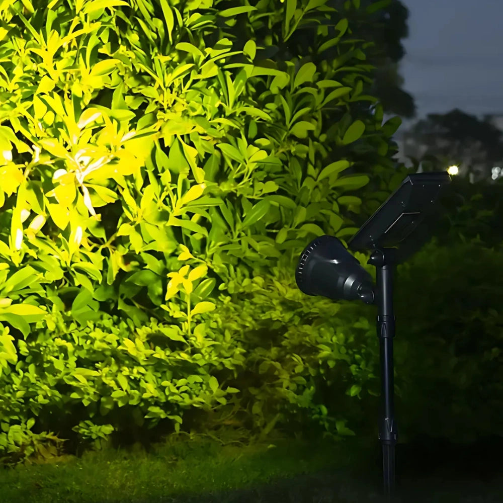 LumaBloom - Foco Solar Para Jardín